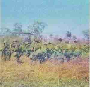 Cambodian Border 02